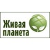 Агентство недвижимости Живая планета