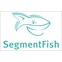 Сегмент Фиш