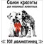 101 далматинец