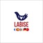 Labise — онлайн-школа иностранных языков